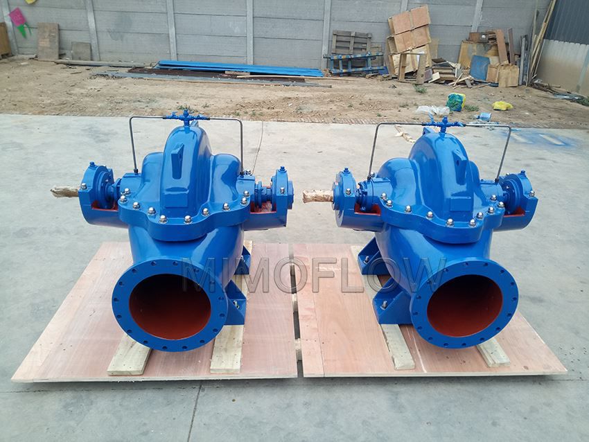 Flood Drainage Double Suction Water Pump 1